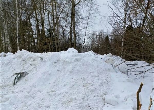 «Холодильник» для 200 тысяч сеянцев создали в Подмосковье