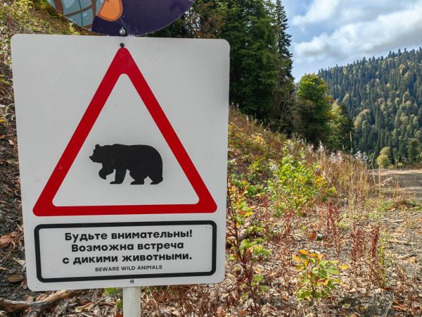 В Подмосковье появился новый заказник «Малая Лобца»