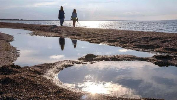 В Запорожье подготовили программу оздоровления Азовского моря